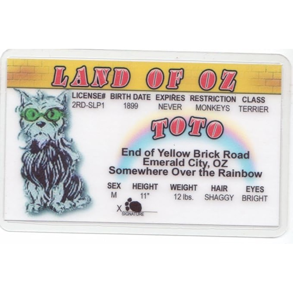 Toto Toon ID